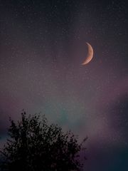 Starry sky over the swamp