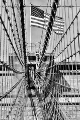 Stars and Stripes Brooklyn Bridge
