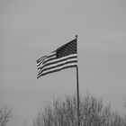 Stars and Stripes Flag