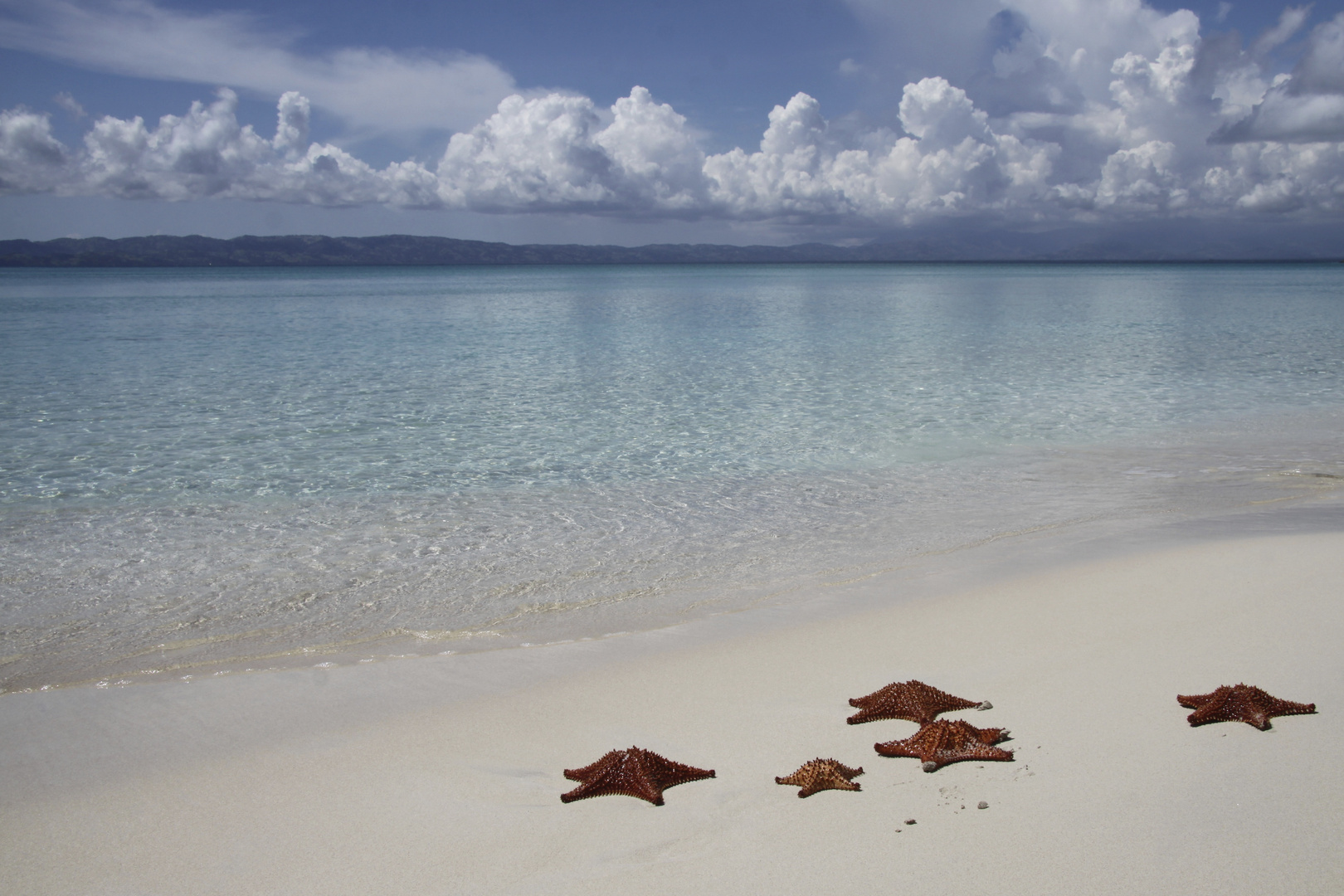 Stars (Haïti)