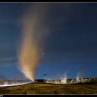 Stars of Yellowstone