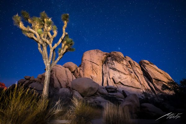 Landschaft, Landschaftsbilder, Landschaftsfotografie