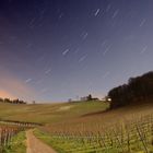 stars_over_silent_vineyard