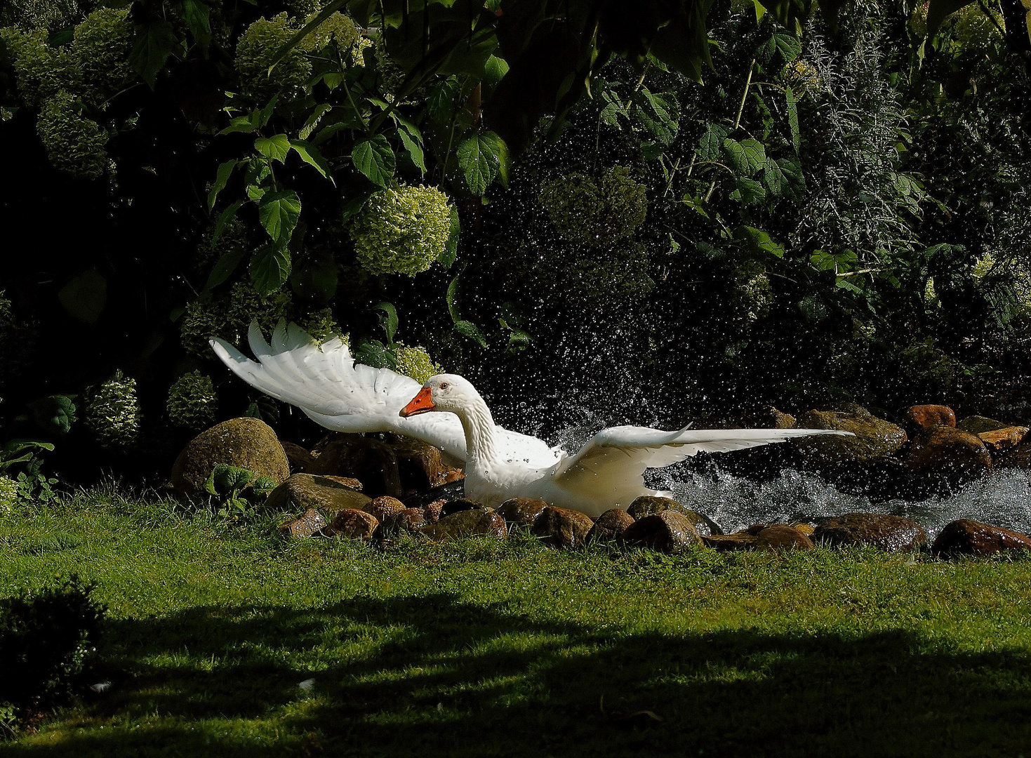 Start aus dem Wasser