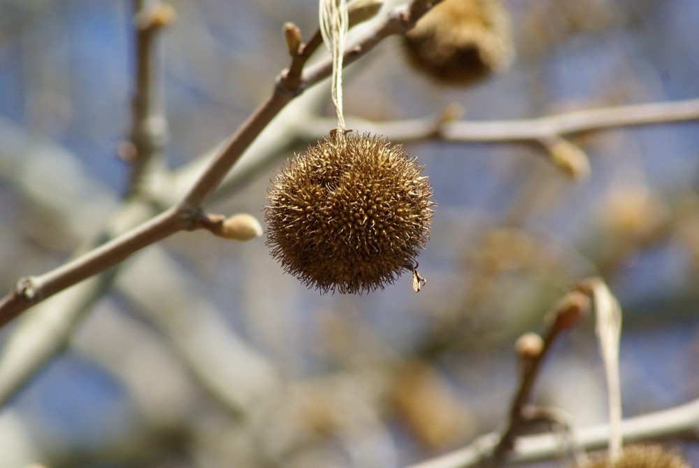 Start der Natur