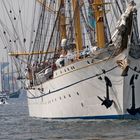 Start der Windjammerparade 2014 mit der Gorch Fock