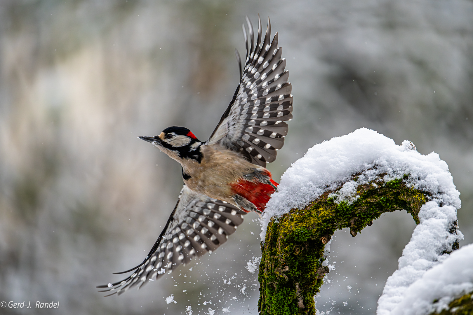 Start im Schnee