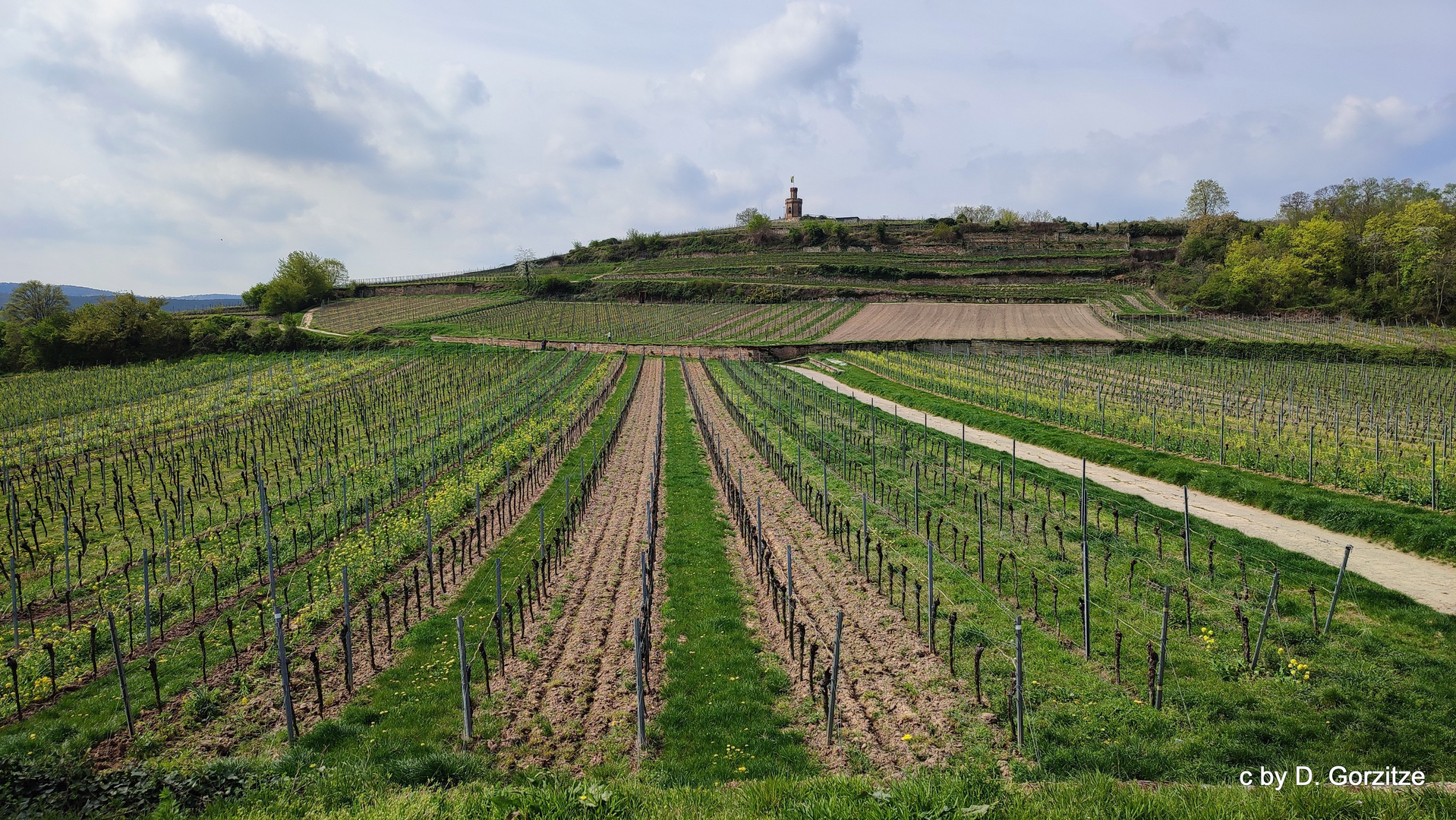 Start in das neue Weinjahr !