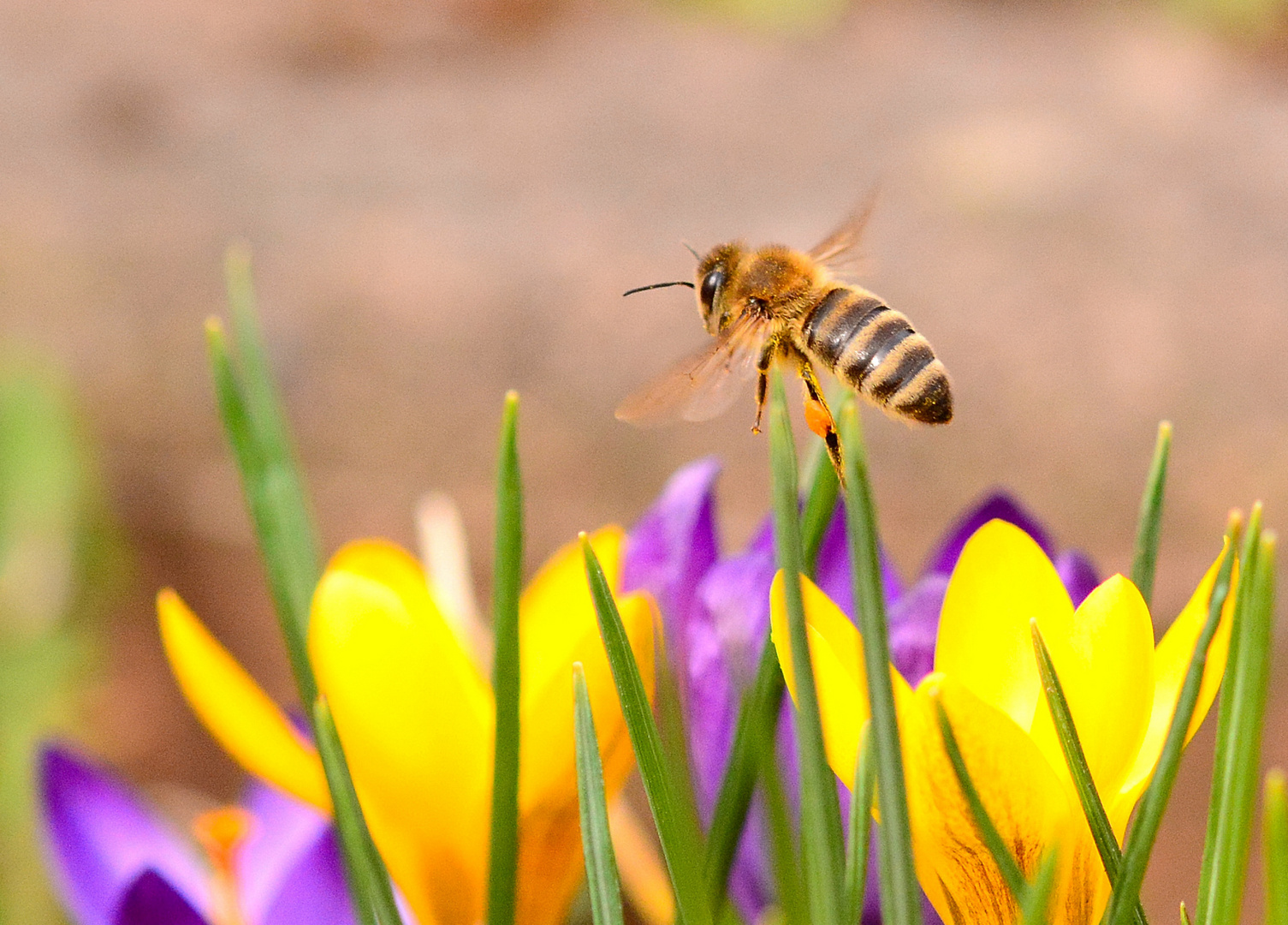 Start in den Frühling