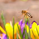 Start in den Frühling