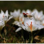 Start in den Frühling