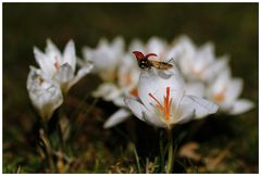 Start in den Frühling