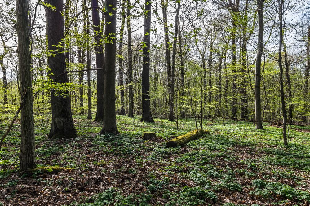 Start in den Frühling