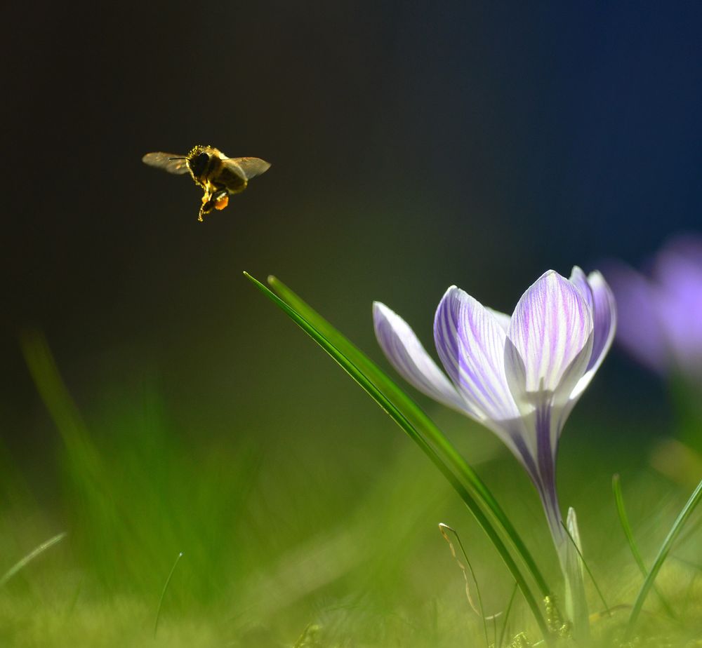 Start in den Frühling