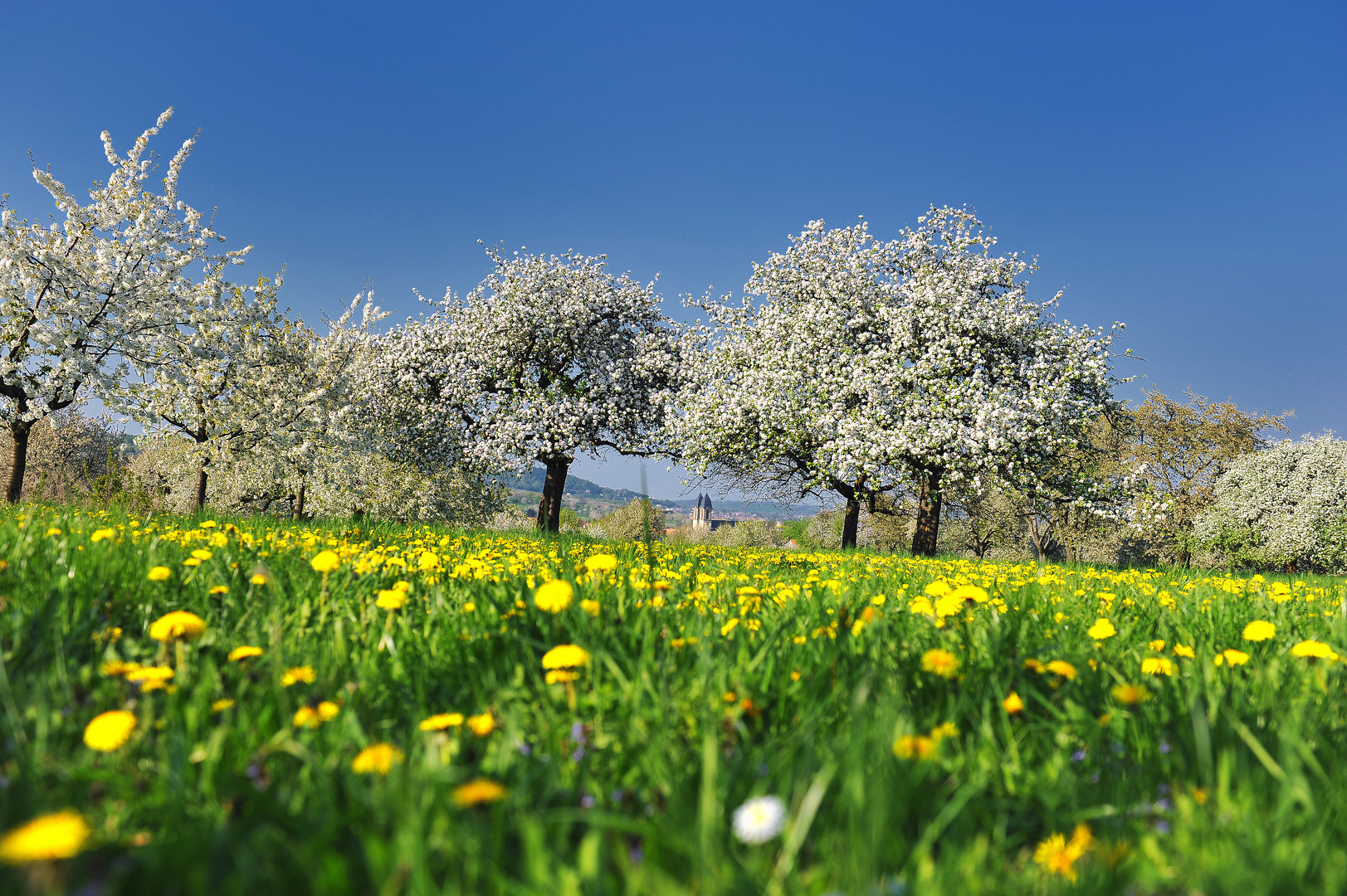 Foto & Bild jahreszeiten, frühling, natur/tiere Bilder auf