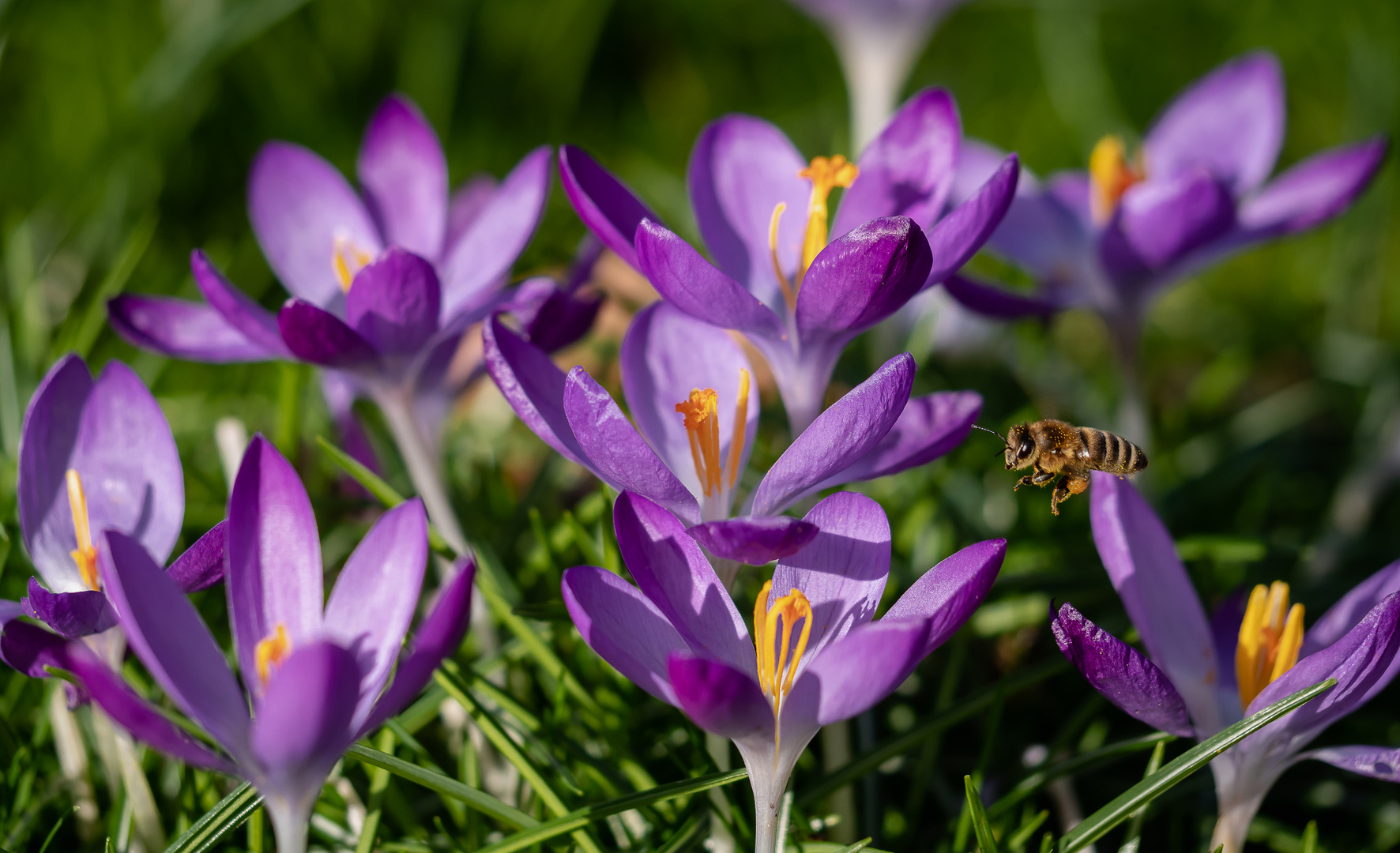 Start in den Frühling