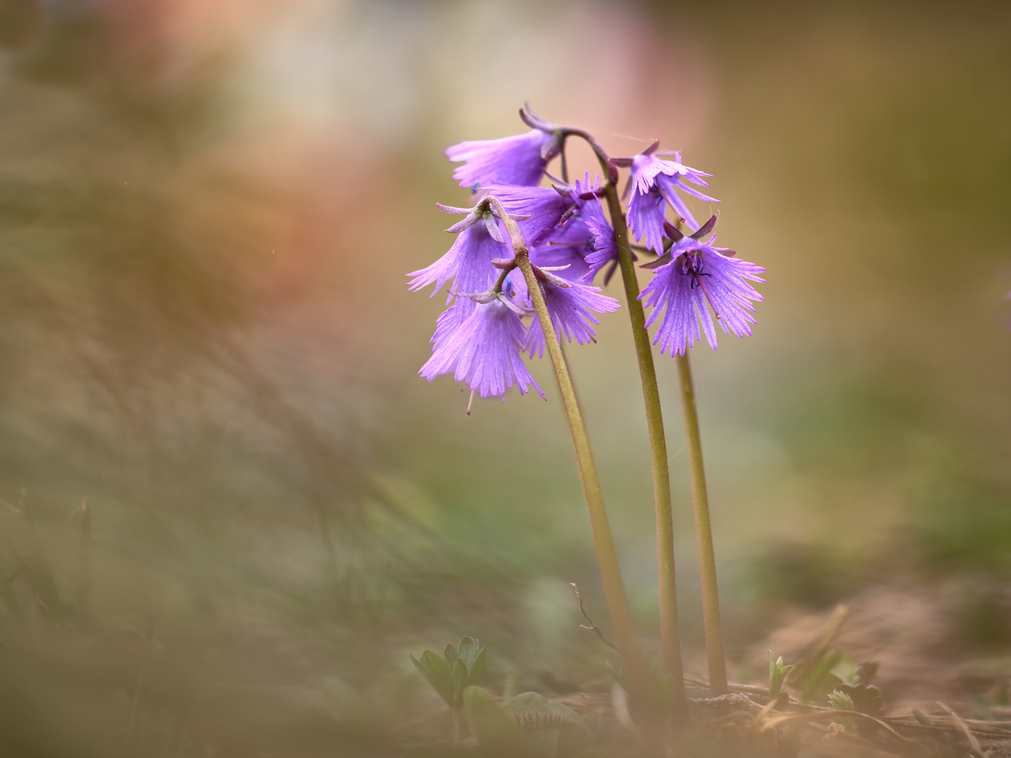 Start in den Frühling