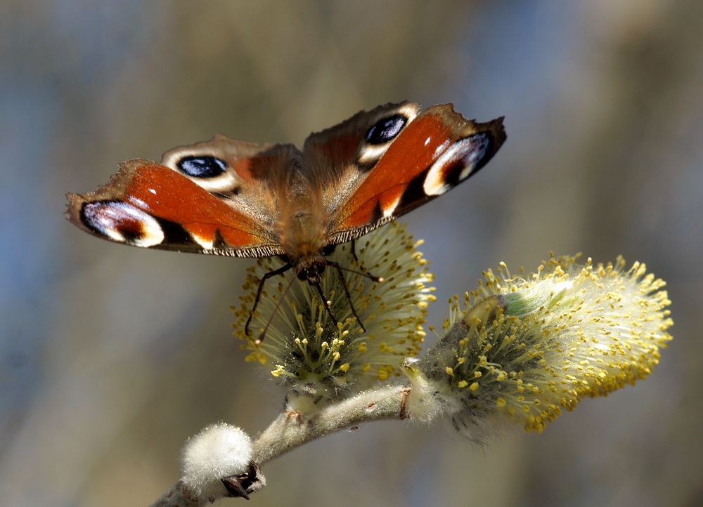 Start in den Frühling