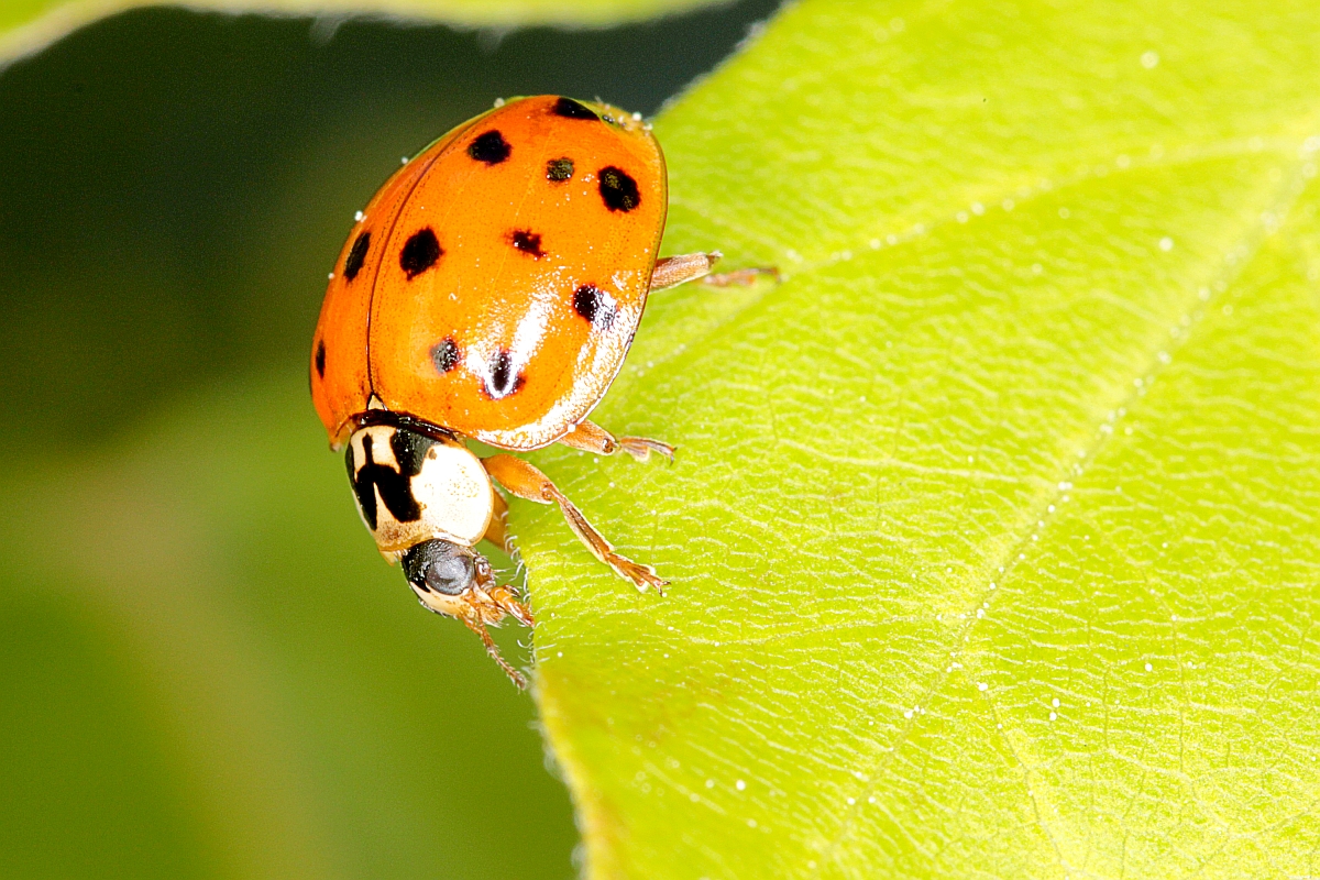 Start in den Frühling