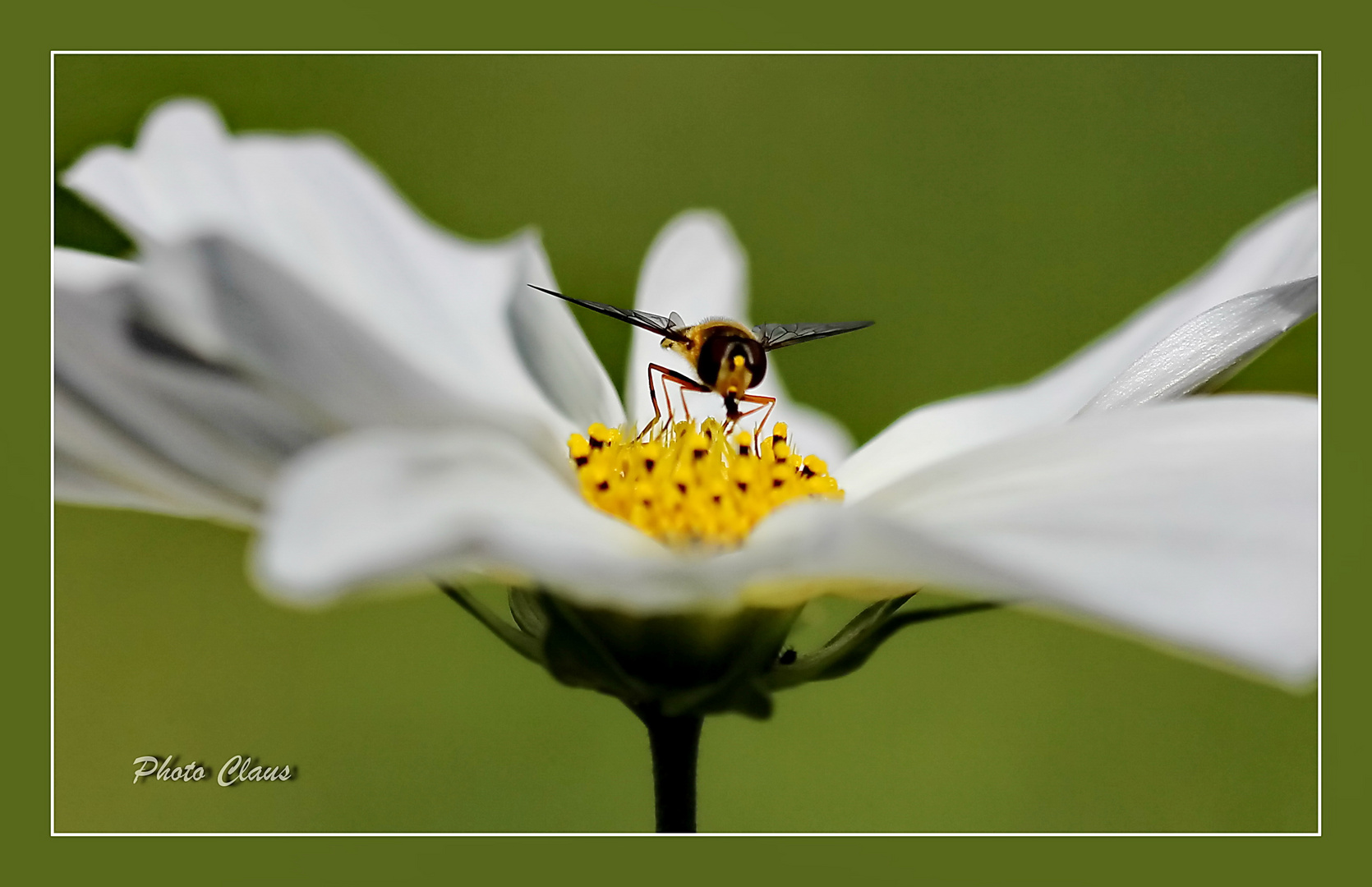 Start in den Sommer