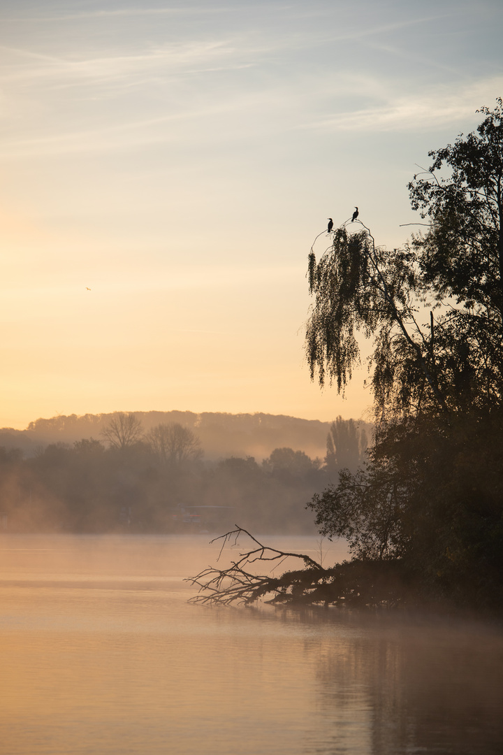 Start in den Tag 