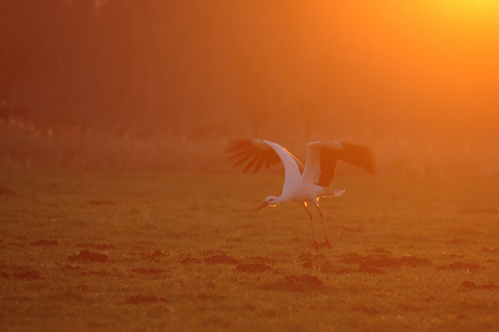 Start in die Sonne