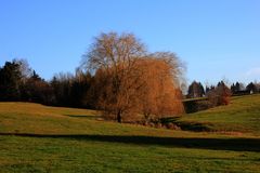 Start in die Weihnachtswoche