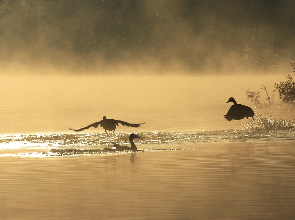 start in einen goldenen tag