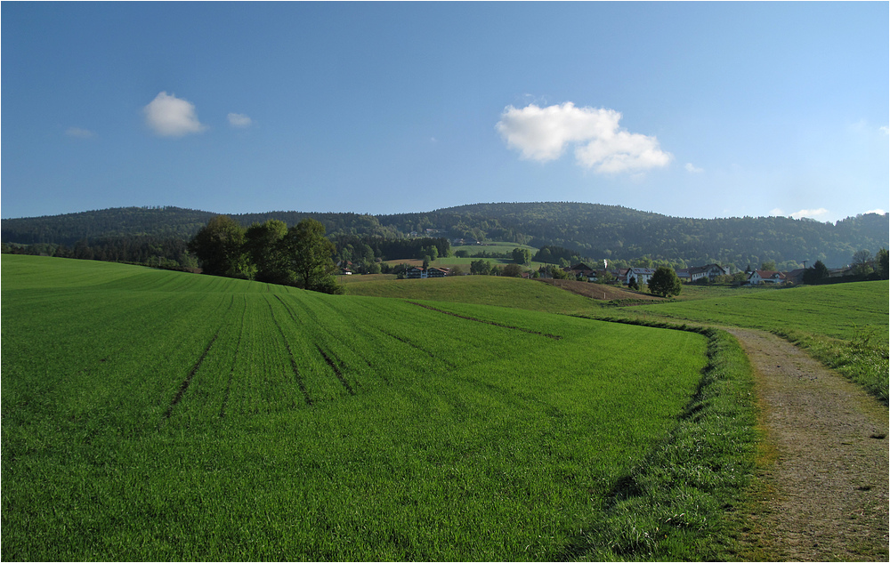 Start in einen herrlichen Ferientag im Bayerischen Wald