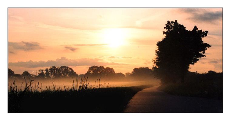 start into a sunny day von Michael Kronfeldner