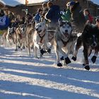 start of the Yukon Quest