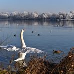 Start zum "Rundflug"