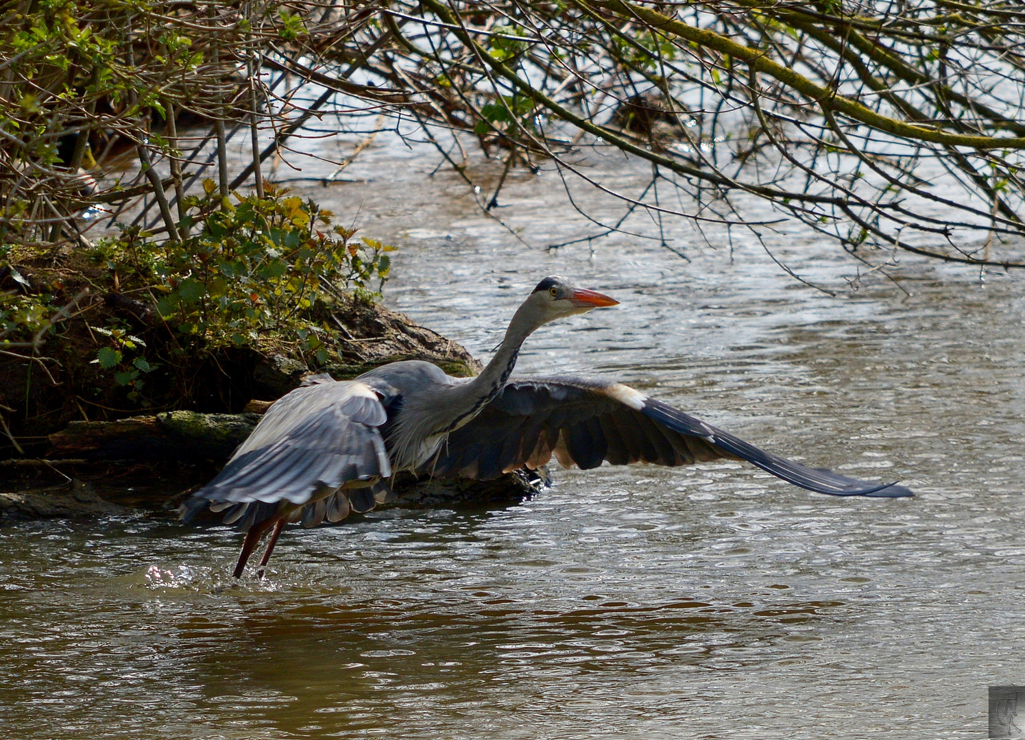 Start zum Vorbeiflug