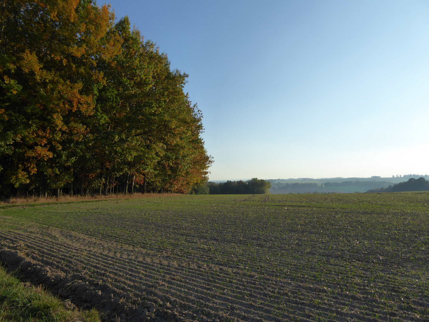 Start zum Waldspaziergang