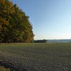 Start zum Waldspaziergang