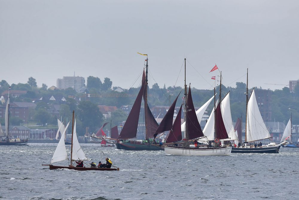 Start - zur Rumregatta 2019