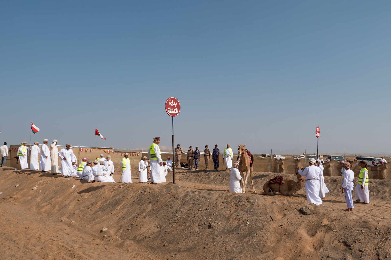 Startaufstellung Camelrace Bediyah