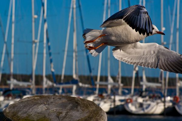 Christian Breitenborn Fotos & Bilder Fotograf aus Remscheid