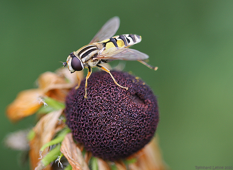 Startklar für die Fotosaison 2010