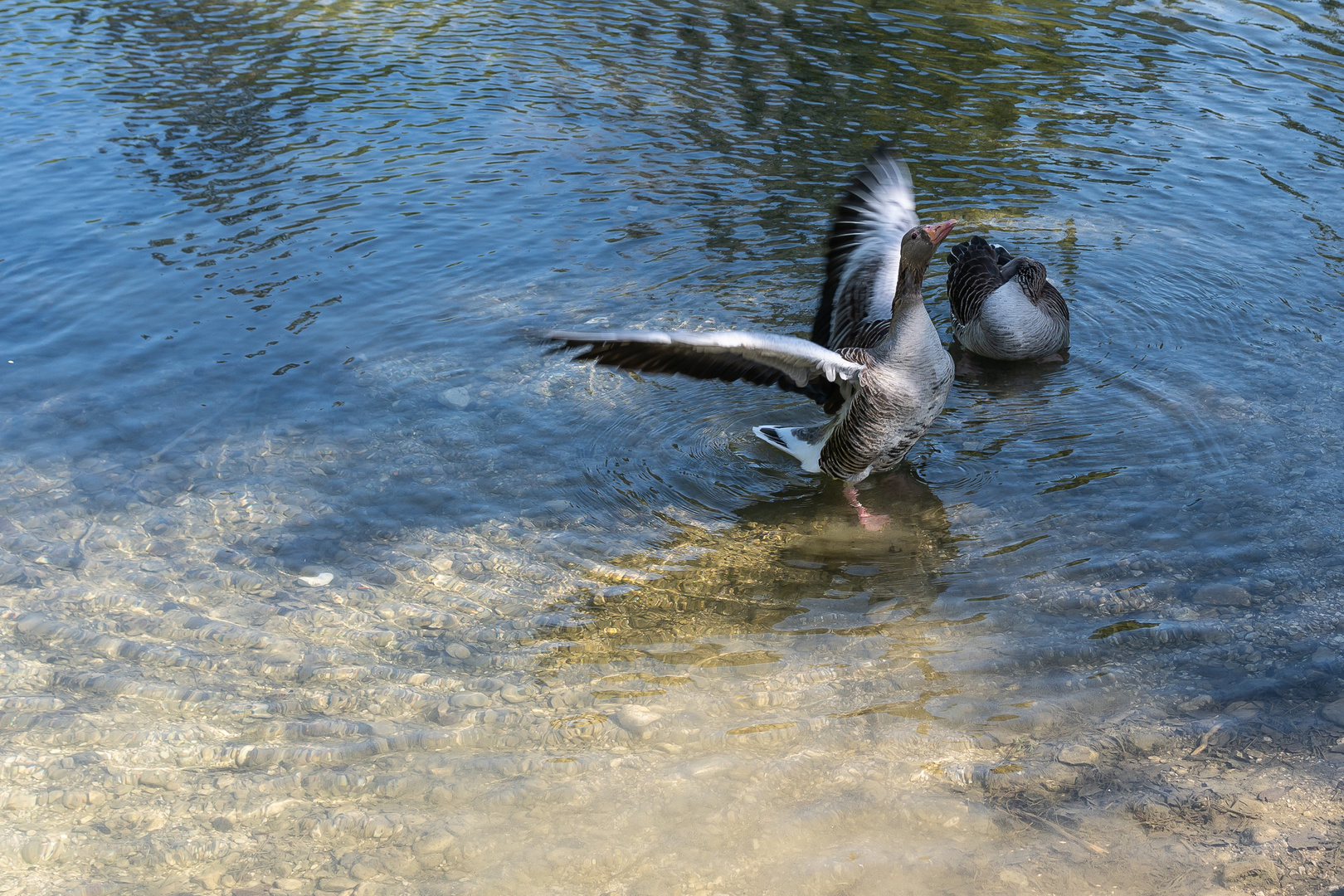 Startklar im Wildpark