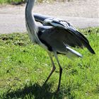 Startklar zum Flug