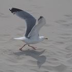 Startlauf am Strand