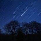 Startrail