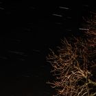 Startrail 3