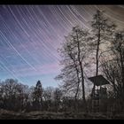 Startrail