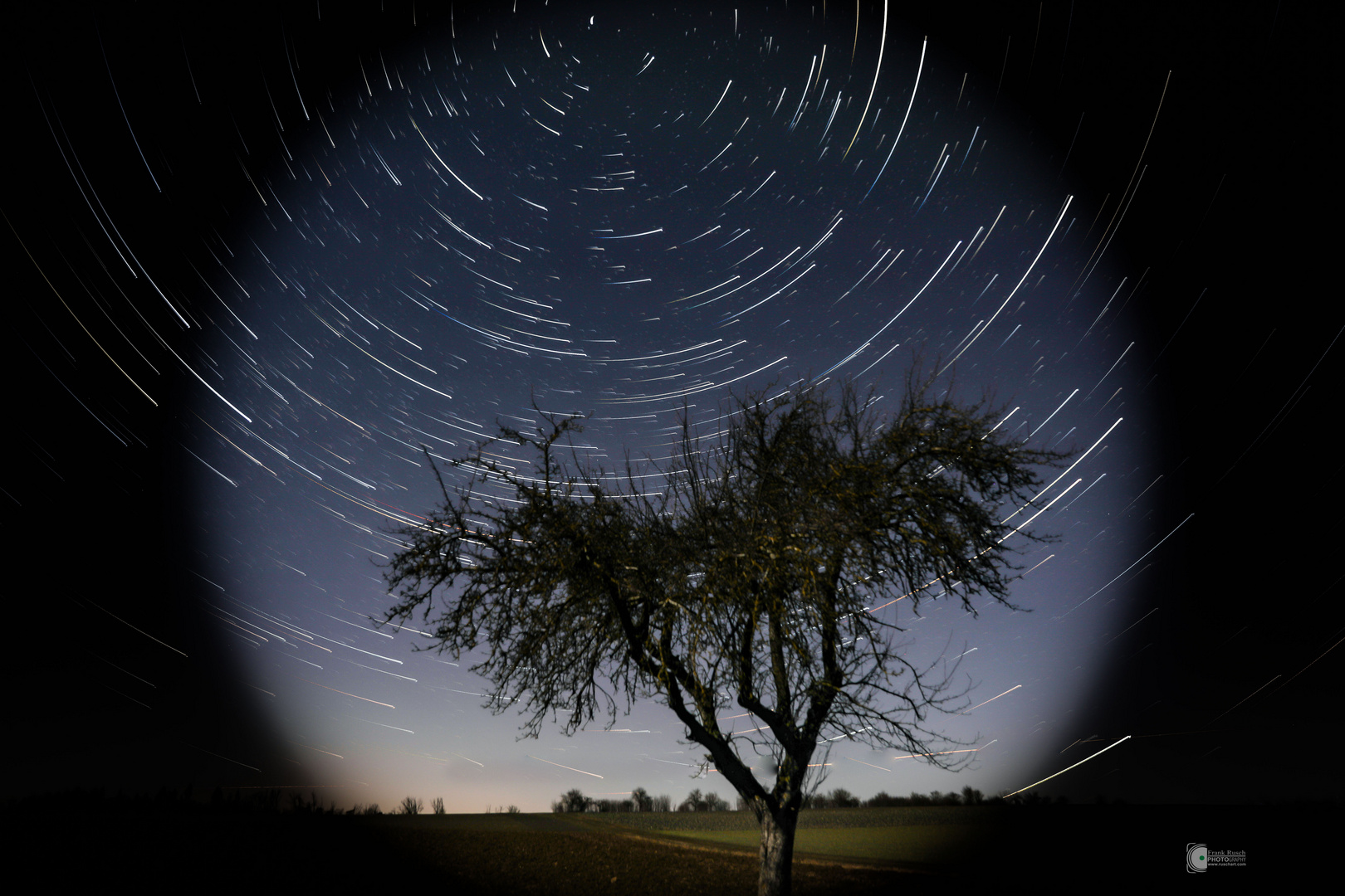 Startrail 