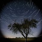 Startrail 