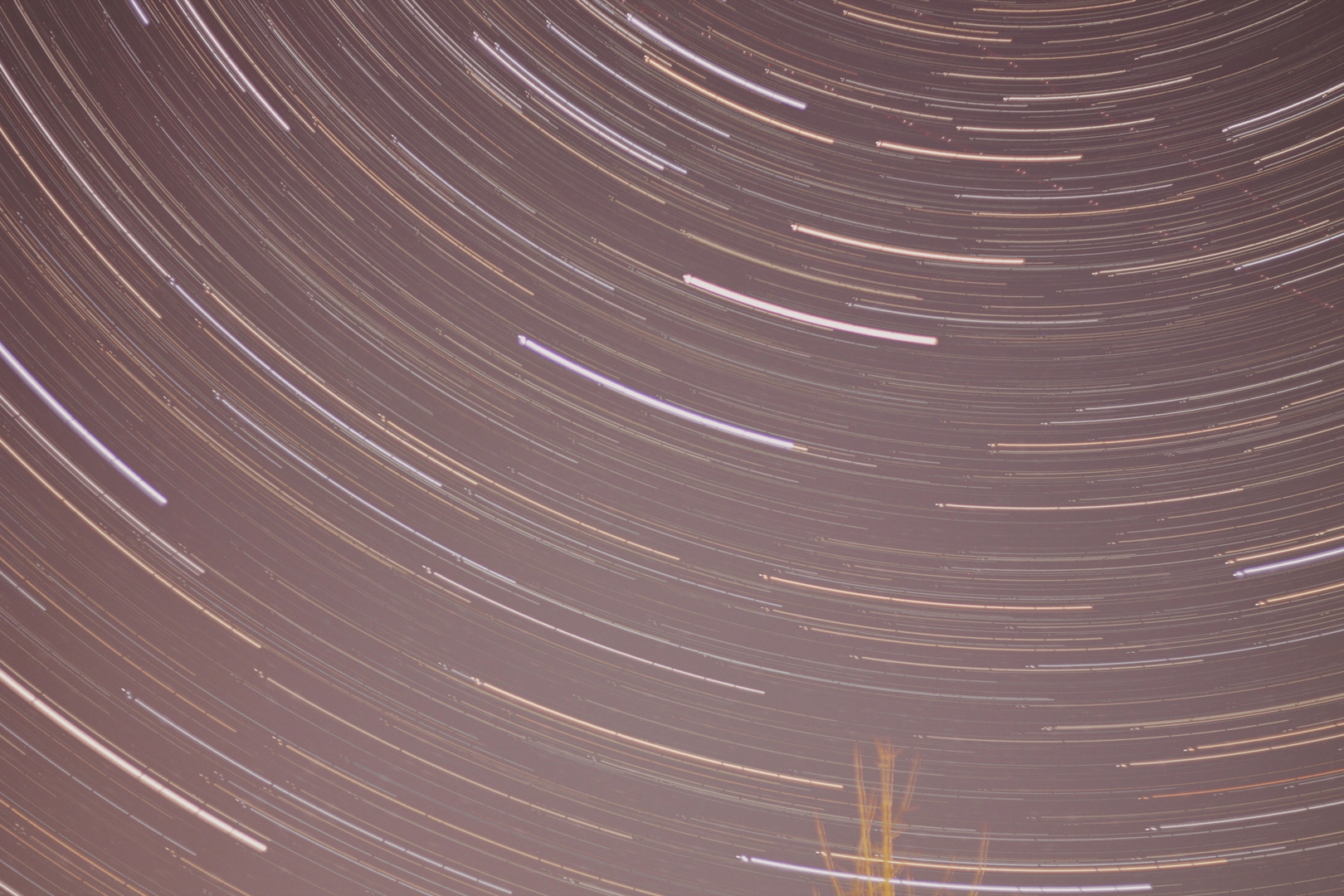 Startrail