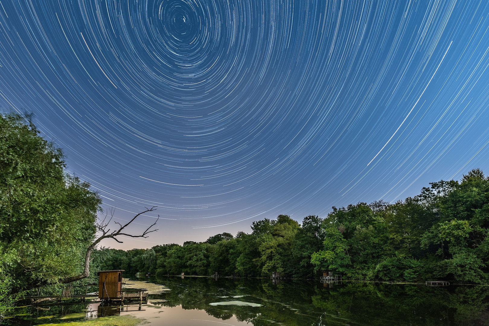 Startrail am Altrhein