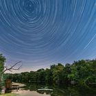 Startrail am Altrhein